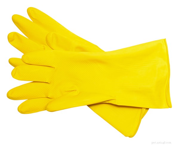 Best Pet Hair Removers to Take Back Your Home