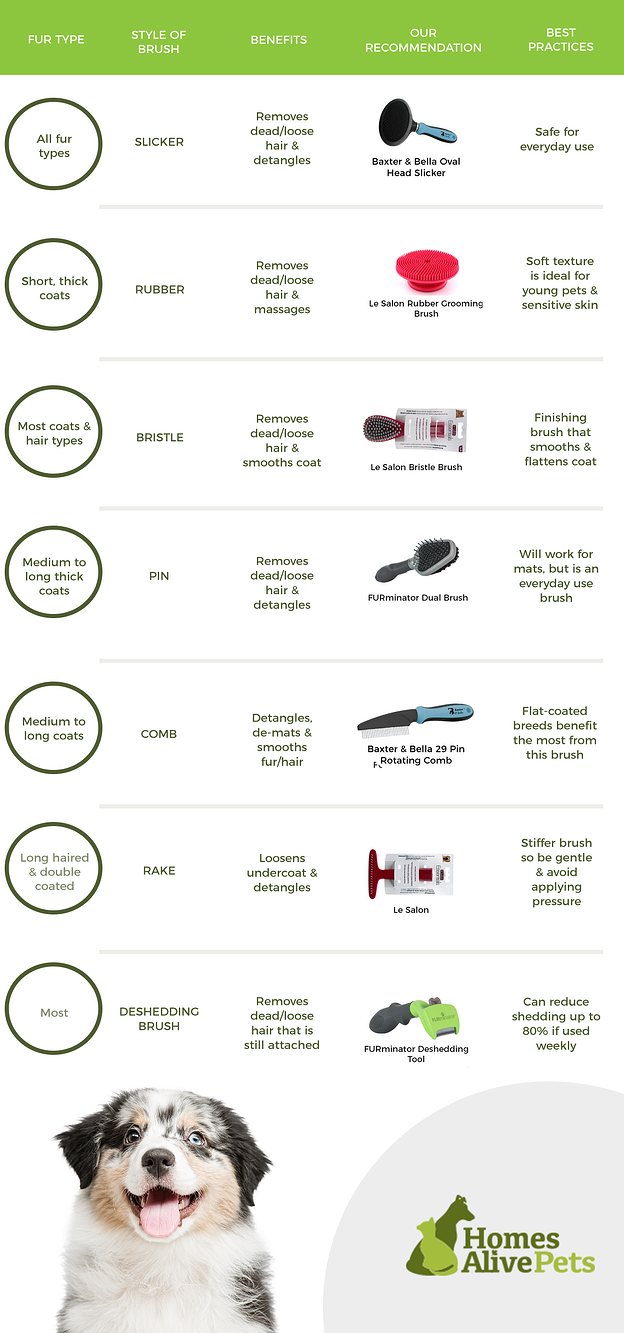 Professional DIY Grooming: The Comprehensive Guide for Pet Owners