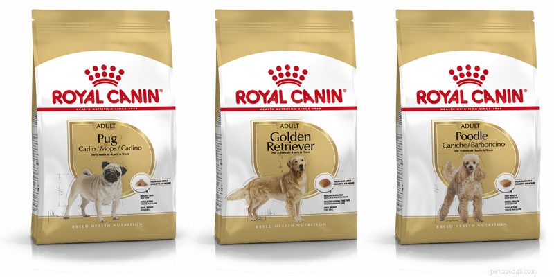 Do You Really Need Breed‑Specific Dog Food? Weigh the Pros & Cons