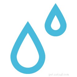 Top Cat Water Fountains: Why Your Feline Deserves Fresh, Clean Water