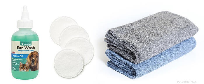 How to Clean a Cat’s Ears Safely and Effectively