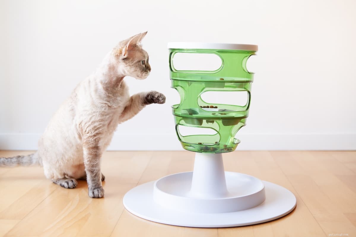 Top Cat Puzzle Toys: Keep Your Feline Smart & Happy