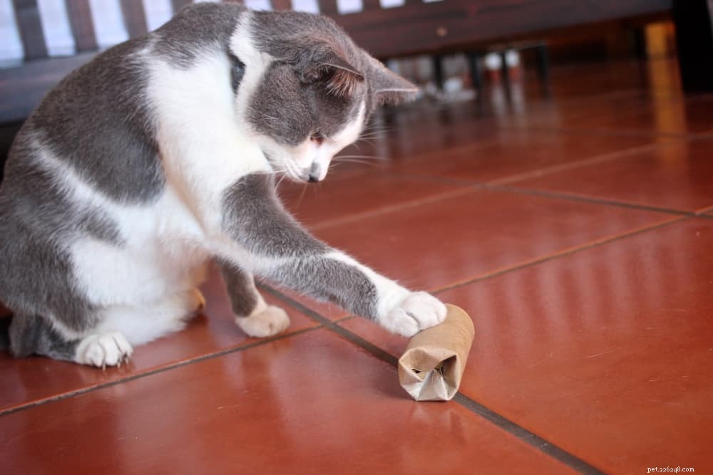 Top Cat Puzzle Toys: Keep Your Feline Smart & Happy