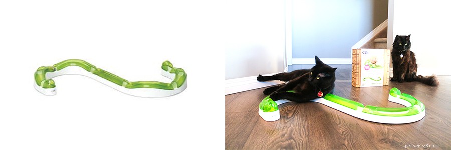 Engage Your Feline: Proven Interactive Toys to Keep Cats Active & Healthy