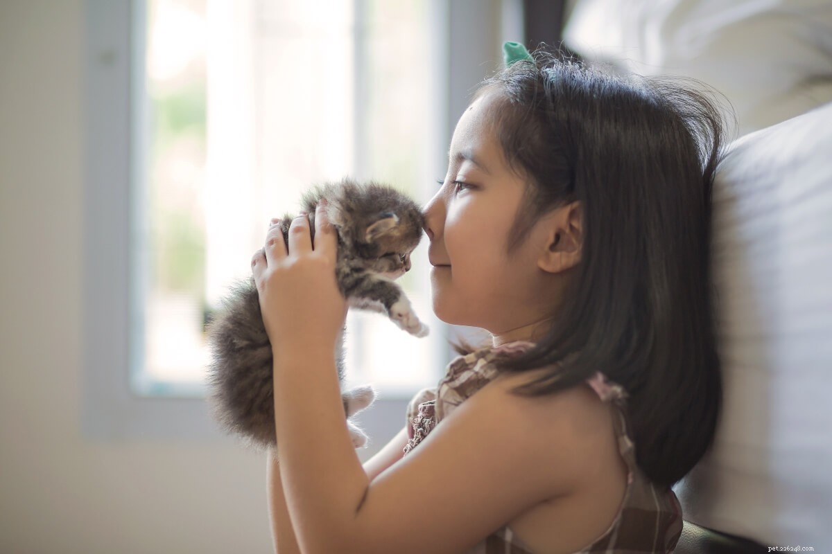 Kitten Arrival Checklist: Must-Have Essentials for a Smooth Welcome