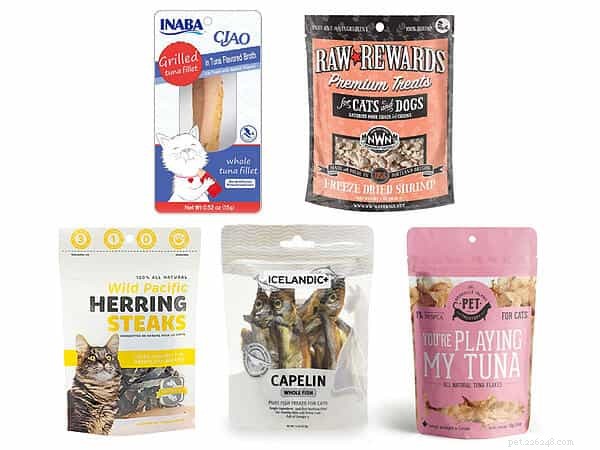 Is Tuna Safe for Cats? A Practical Guide for Responsible Feeding