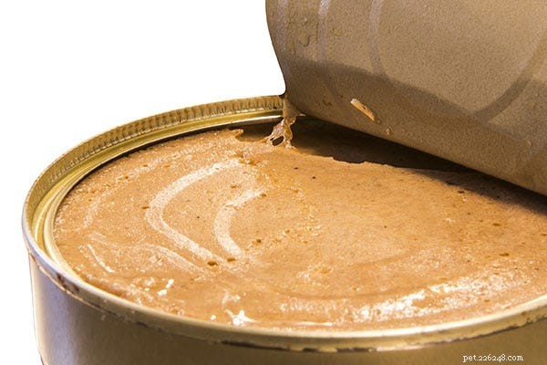 16 Expert Tips for Feeding Dogs and Cats with Wet Food