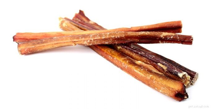 Top 10 Safe Rawhide Alternatives for Dogs – 2024 Guide