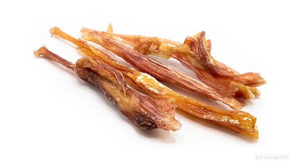Top 10 Safe Rawhide Alternatives for Dogs – 2024 Guide