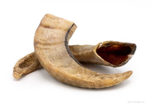 Top 10 Safe Rawhide Alternatives for Dogs – 2024 Guide