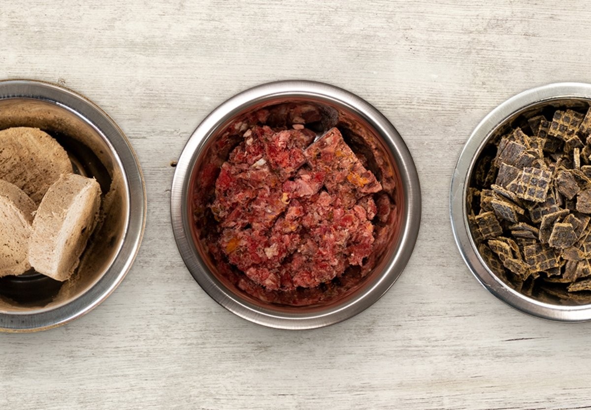 Raw Dog Food for Beginners: How Much to Feed for Optimal Health