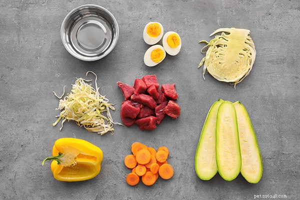 Raw Dog Food for Beginners: How Much to Feed for Optimal Health