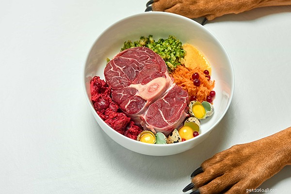 Raw Dog Food for Beginners: How Much to Feed for Optimal Health