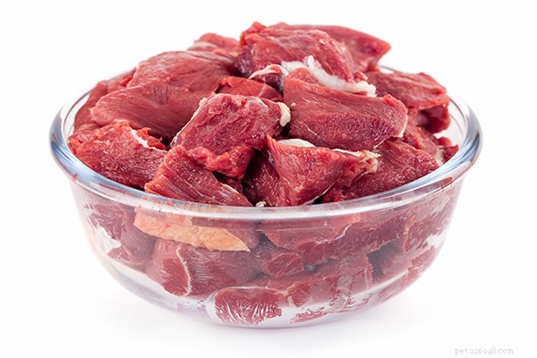 Raw Dog Food for Beginners: How Much to Feed for Optimal Health