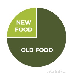 Safe Guide to Switching Your Dog’s Food: Tips & Best Practices