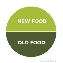 Safe Guide to Switching Your Dog’s Food: Tips & Best Practices