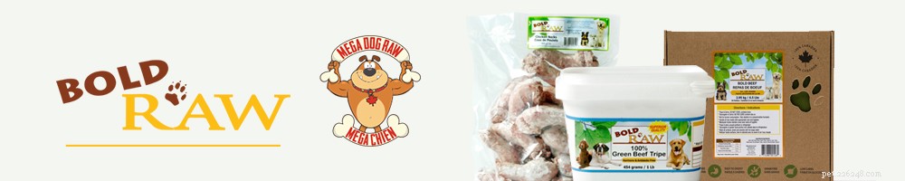 Top 25 Canadian Dog Food Brands 2022: Premium, Grain‑Free, and Raw Options