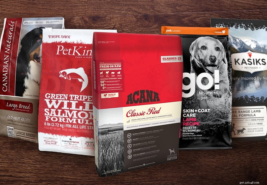Top 25 Canadian Dog Food Brands 2022: Premium, Grain‑Free, and Raw Options