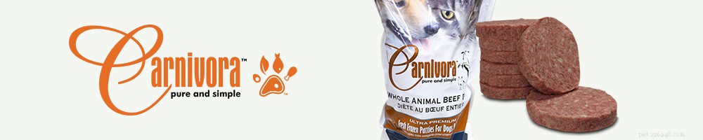 Top 25 Canadian Dog Food Brands 2022: Premium, Grain‑Free, and Raw Options