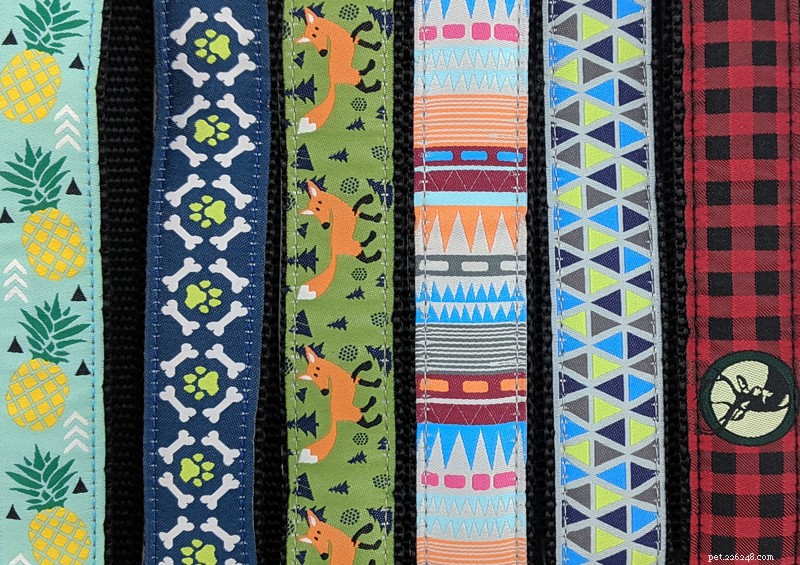 The 2022 Guide to Dog Collars: Selecting the Perfect Fit for Your Dog
