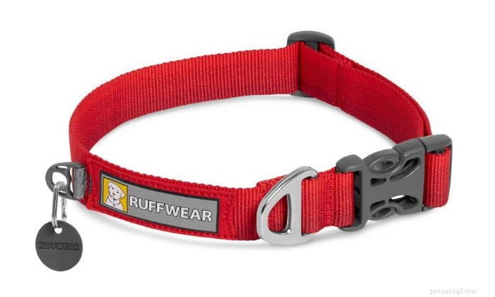 The 2022 Guide to Dog Collars: Selecting the Perfect Fit for Your Dog