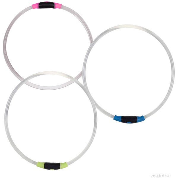 The 2022 Guide to Dog Collars: Selecting the Perfect Fit for Your Dog