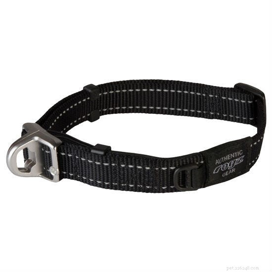 The 2022 Guide to Dog Collars: Selecting the Perfect Fit for Your Dog