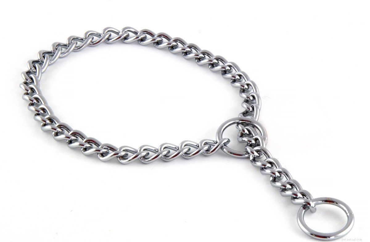The 2022 Guide to Dog Collars: Selecting the Perfect Fit for Your Dog