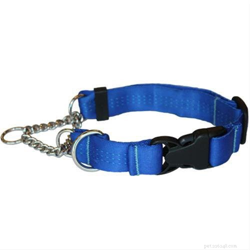 The 2022 Guide to Dog Collars: Selecting the Perfect Fit for Your Dog