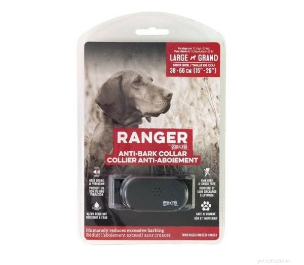 The 2022 Guide to Dog Collars: Selecting the Perfect Fit for Your Dog