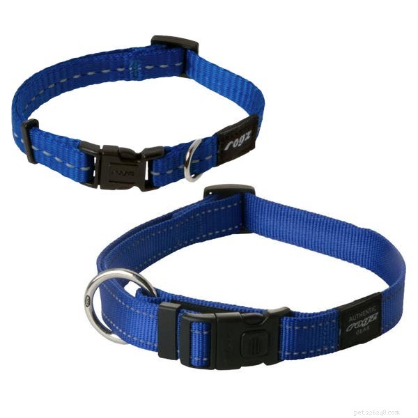 The 2022 Guide to Dog Collars: Selecting the Perfect Fit for Your Dog