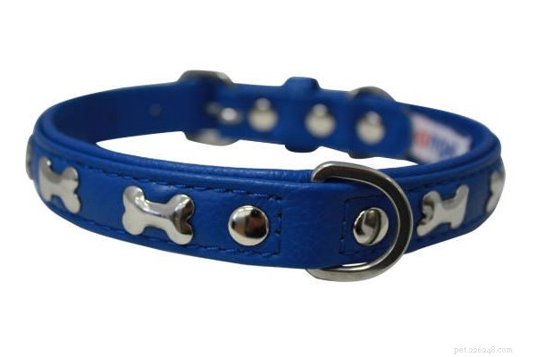 The 2022 Guide to Dog Collars: Selecting the Perfect Fit for Your Dog