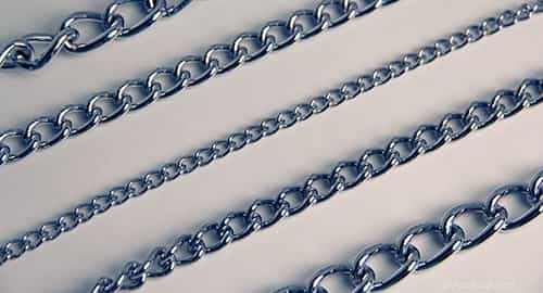 The 2022 Guide to Dog Collars: Selecting the Perfect Fit for Your Dog