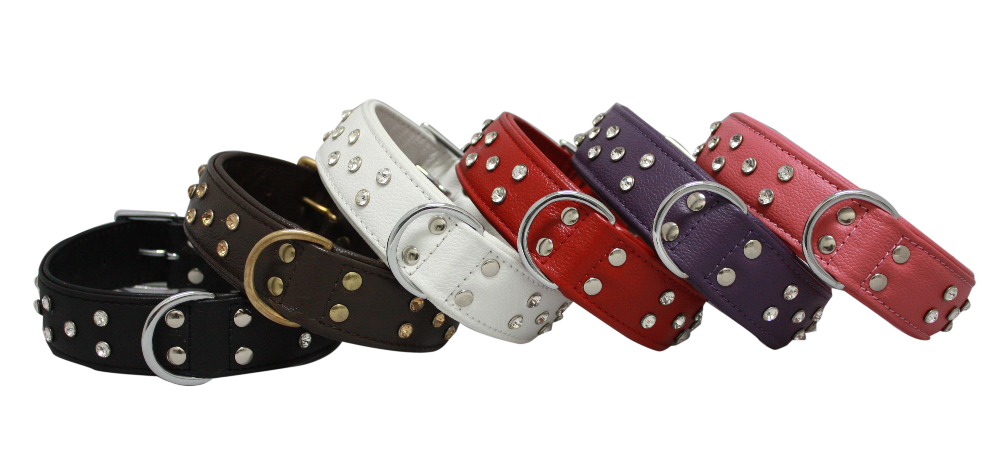 The 2022 Guide to Dog Collars: Selecting the Perfect Fit for Your Dog