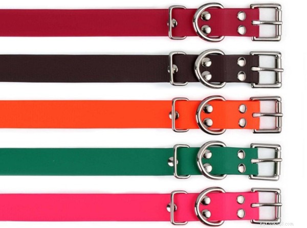 The 2022 Guide to Dog Collars: Selecting the Perfect Fit for Your Dog