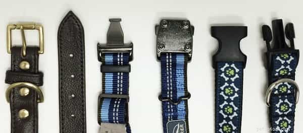 The 2022 Guide to Dog Collars: Selecting the Perfect Fit for Your Dog