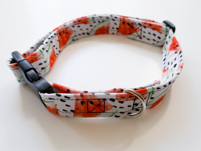 The 2022 Guide to Dog Collars: Selecting the Perfect Fit for Your Dog
