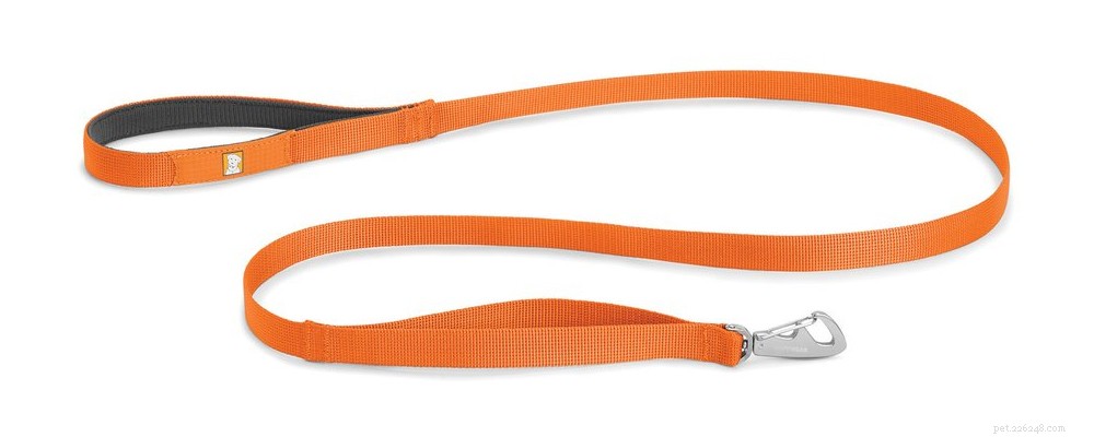 The 2022 Guide to Dog Collars: Selecting the Perfect Fit for Your Dog