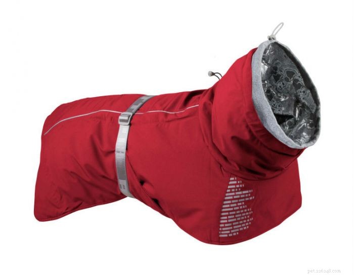 25 Essential Winter Walking Tips for Your Dog’s Safety & Comfort