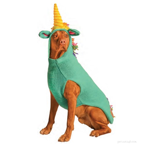 Top Winter Dog Coats: Keep Your Pet Warm Through Canadian Winters