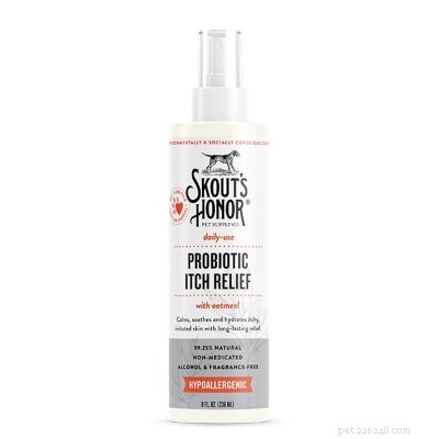 Protect Your Dog: Spotting, Treating, and Preventing Bug Bites