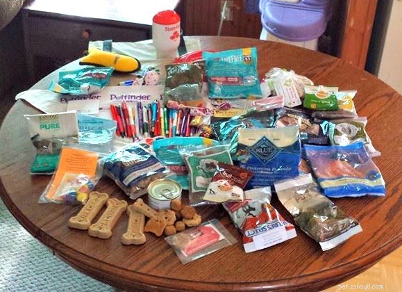 Exploring the Austin Pet Expo: Family Fun & Freebies – Part I