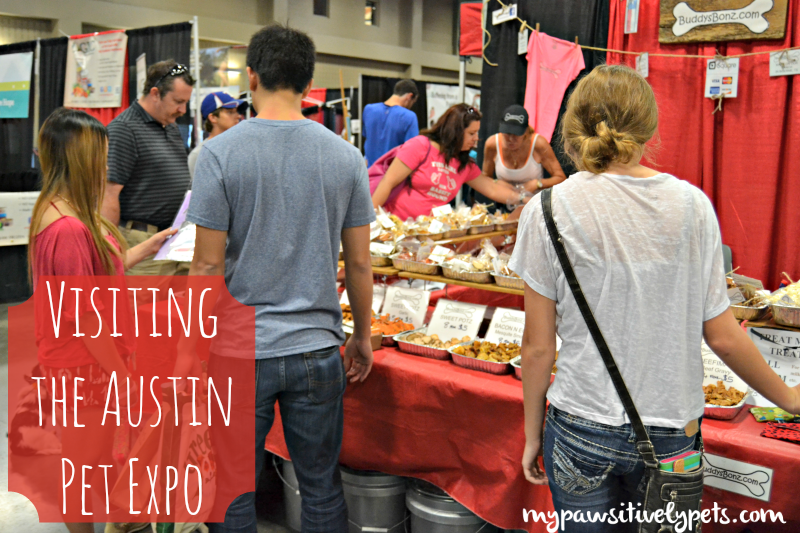 Exploring the Austin Pet Expo: Family Fun & Freebies – Part I