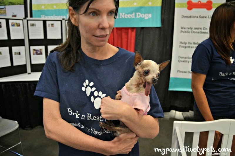 Exploring the Austin Pet Expo: Family Fun & Freebies – Part I