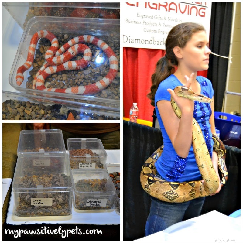 Exploring the Austin Pet Expo: Family Fun & Freebies – Part I