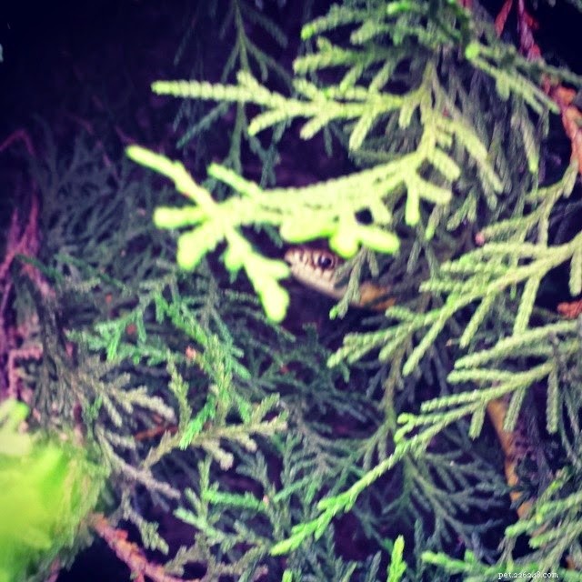 Weekly Instagram Highlights: Behind the Lens