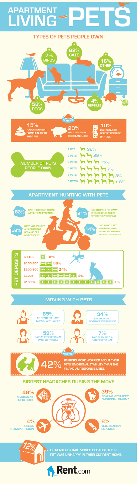 Stress‑Free Pet‑Friendly Apartment Moves: Expert Tips