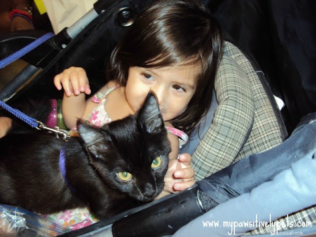 Discover Austin Pet Expo: Family Fun with Furry Friends