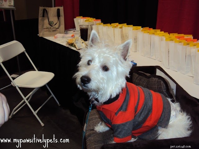 Discover Austin Pet Expo: Family Fun with Furry Friends