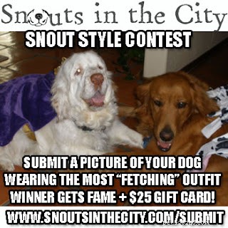Social Pet Saturday: Fun Contests, Turtle Care, and Support for Pets in Need
